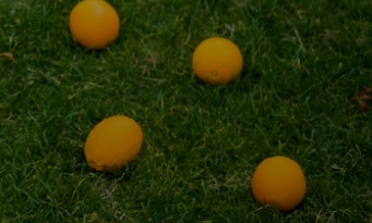 Иммунодиетология на службе здоровья ребенка (Марианна Лынская, Екатерина Несова)