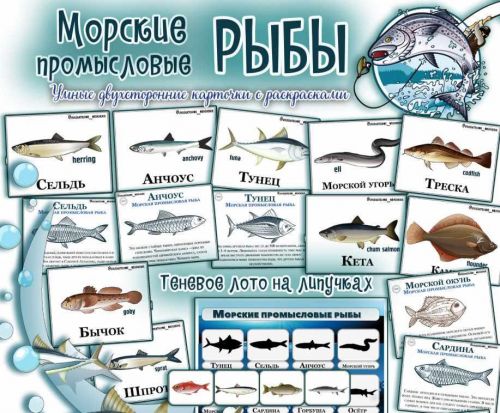 Морские промысловые рыбы (Елена Солдатова)