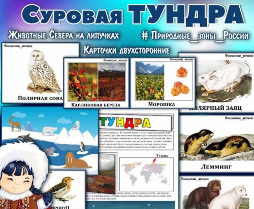 Суровая тундра. Особенности климата северной России (Елена Солдатова)