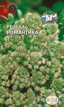 Rezeda-dushistaya-Romantika-SeDek