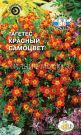 Tagetes-Krasnyj-Samocvet-SeDek