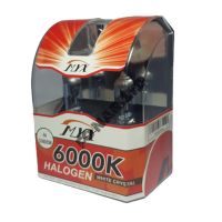 Галогеновые лампы H4 12V 55W 6000K