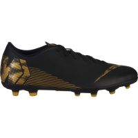 Nike Vapor 12 Club FG/MG (AH7378-077)