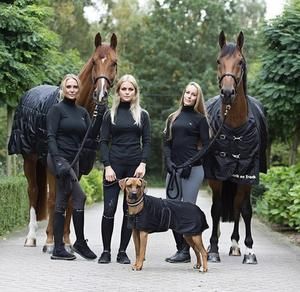 ЭКИПИРОВКА И АМУНИЦИЯ BACK ON TRACK для людей, лошадей и собак