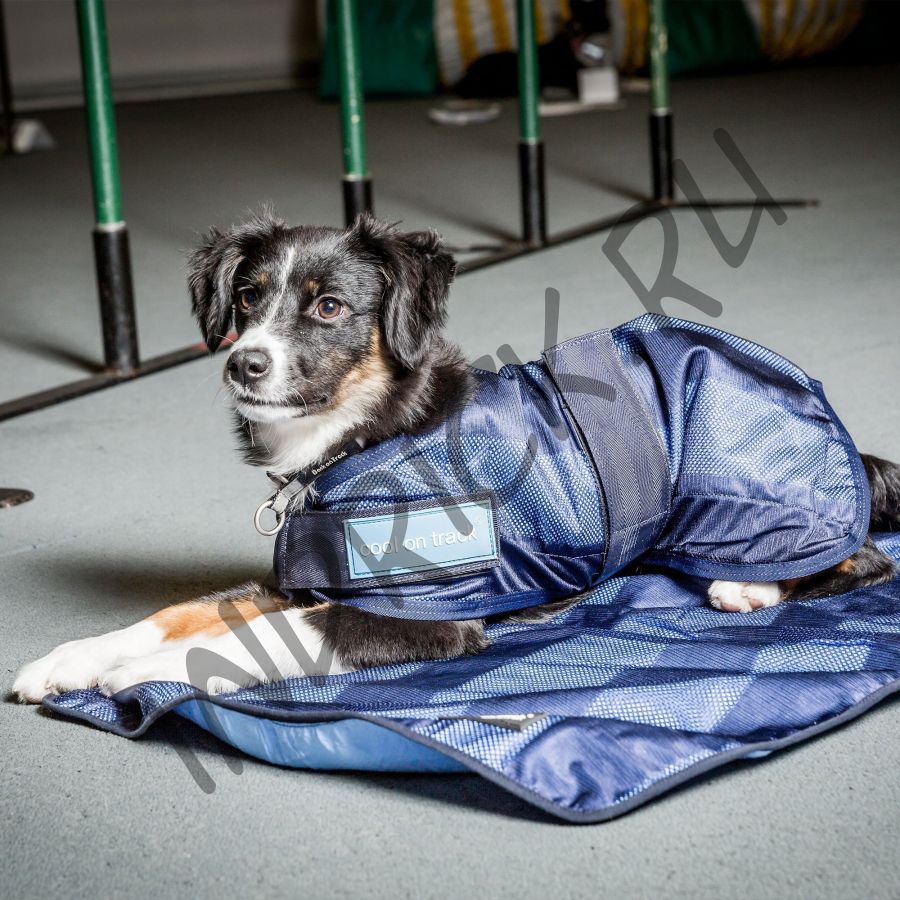 Охлаждающая попона Cool on Track Cooling для собак