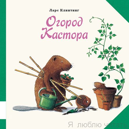 Огород Кастора
