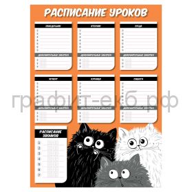 Расписание уроков А3 Феникс+ ассорти 56932/56935