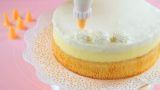 Мешочек для украшения блюд DELICIA 35 cм полотняный +6 насадок 630487