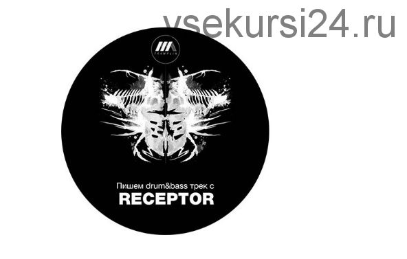 [Tramplin] Drum&Bass Producer (Receptor)