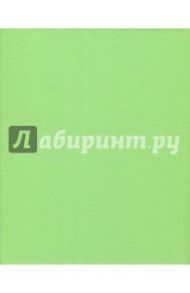 Тетрадь на кольцах 160 листов "Зеленый бумвинил" (ПБ16018)