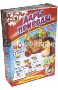 Игра: Умные игры "Дары природы" (50691/03991)