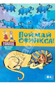 Поймай Сфинкса: познавательная карточная игра