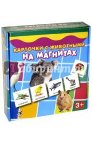 Карточки с животными на магнитах (2906)