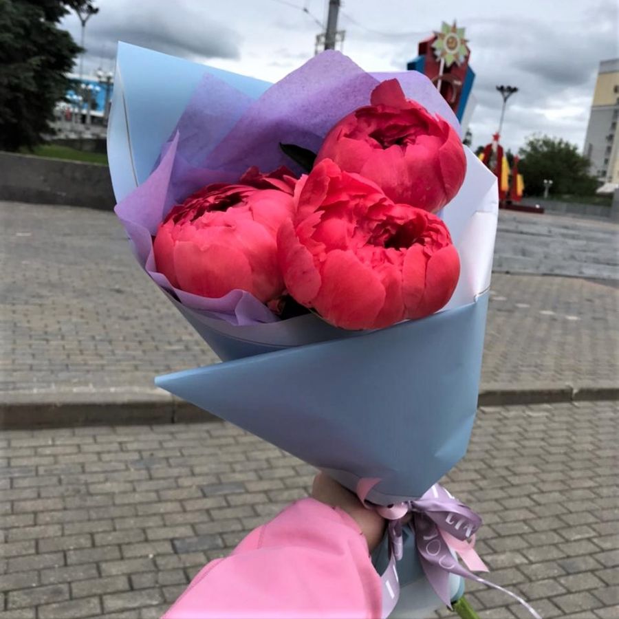 Пионы Корал шарм от 3 шт