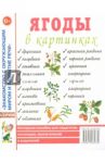 Ягоды в картинках. Наглядное пособие для педагогов, логопедов, воспитателей и родителей