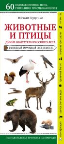 Животные и птицы. Дикие обитатели русского леса - Куценко Михаил Евгеньевич