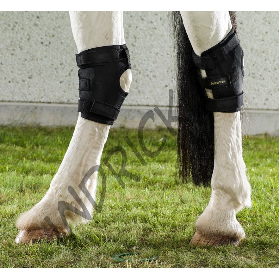 Бандаж Back on Track на скакательный сустав лошади с открытой пяткой