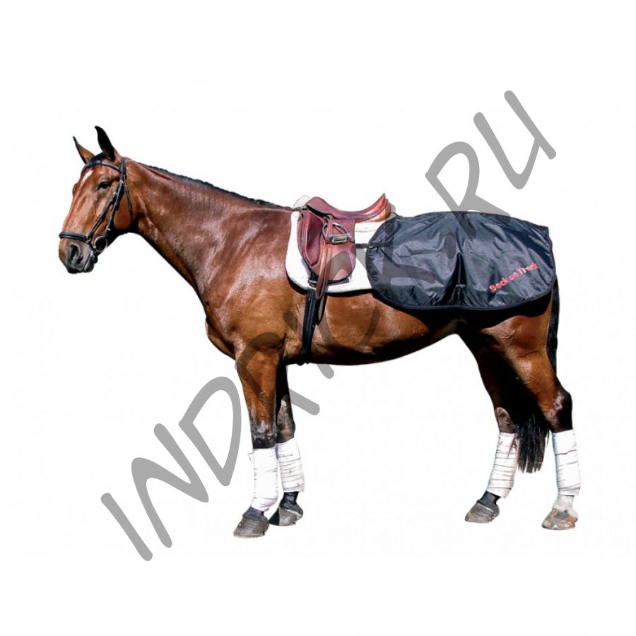 Полупопона для лошади Back on Track на поясницу