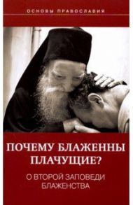 Почему блаженны плачущие? О второй заповеди блаженства / Молотников Михаил Давидович