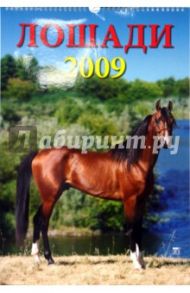 Календарь 2009 Лошади 12808