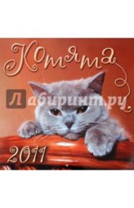 Календарь 2011 "Котята"