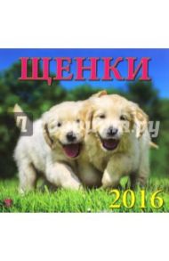 Календарь настенный на 2016 год "Щенки" (70606)