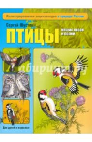 Птицы наших лесов и полей / Шустов Сергей Борисович