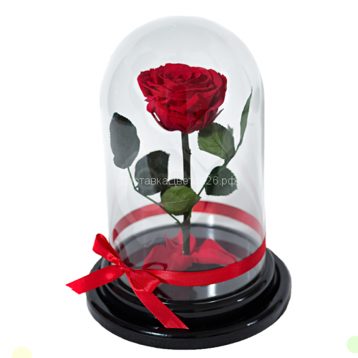 Стабилизированная живая роза в колбе