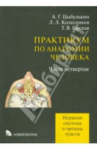 Практикум по анатомии человека. Часть 4. Нервная система и органы чувств / Цыбулькин Александр Григорьевич, Горская Татьяна Владимировна, Колесников Лев Львович