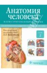 Анатомия человека. Учебник. В 3-х томах. Том 2. Спланхнология и сердечно-сосудистая система / Колесников Лев Львович, Ничипорук Геннадий Иванович, Гайворонский Иван Васильевич