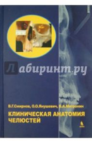 Клиническая анатомия челюстей / Митронин Александр Валентинович, Янушевич Олег Олегович, Смирнов Виталий Григорьевич