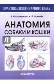 Анатомия собаки и кошки / Амзельгрубер Вернер, Бёме Герхард, Вайбль Гельмут