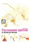 Рисование цветов от бутона до листьев / Пипер Анне