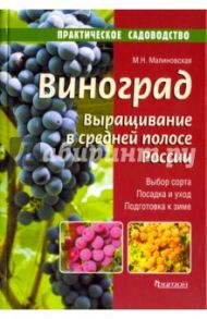 Виноград.Выращивание в средней полосе России / Малиновская Марина Николаевна