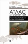 Атлас аннотированный. Рыбы пресноводные и полупроходные / Позняковский Валерий Михайлович