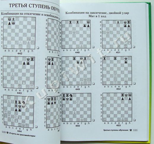И пусть не гроссмейстеры - шахматный практикум