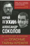 За что судят в России, или Опасные тайны Кремля / Мухин Юрий Игнатьевич, Соколов Александр Александрович