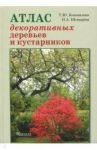 Атлас декоративных деревьев и кустарников / Шевырева Наталья Александровна, Коновалова Татьяна Юрьевна