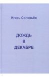 Дождь в декабре (записки двухгодичника) / Соловьев Игорь Геннадьевич