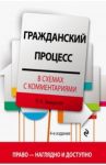 Гражданский процесс в схемах с комментариями / Завадская Людмила Николаевна