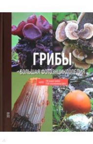 Грибы. Большая фотоэнциклопедия / Кашпор Николай Николаевич