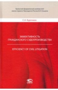 Эффективность гражданского судопроизводства / Курочкин Сергей Анатольевич