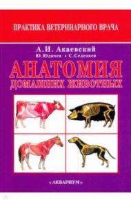 Анатомия домашних животных / Акаевский Анатолий Иванович, Юдичев Юрий Федорович, Селезнев Сергей Борисович