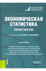 Экономическая статистика. Практикум. Учебное пособие