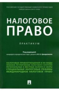 Налоговое право. Практикум / Цинделиани Имеда Анатольевич, Бадмаев Батор Галбадарович, Анисина Карина Талгатовна