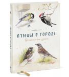 Птицы в городе. Где найти и как узнать - Васильева Анна