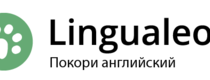 Промокоды Lingualeo на Февраль 2022 - Март 2022 + акции и скидки Lingualeo