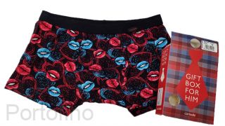 010-72 cornette trusy