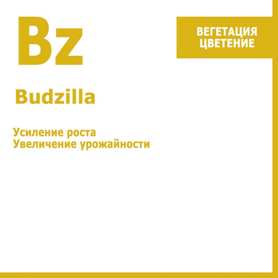 Budzilla, 500 мл.