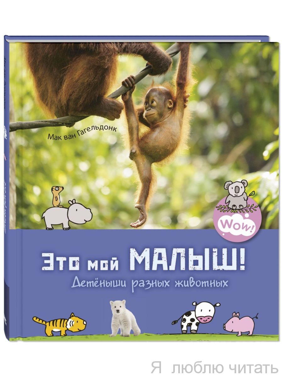 Это мой малыш! Детеныши разных животных